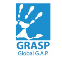 Logo-Globalgrasp